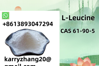 Nutrition Food LLeucine CAS 61905